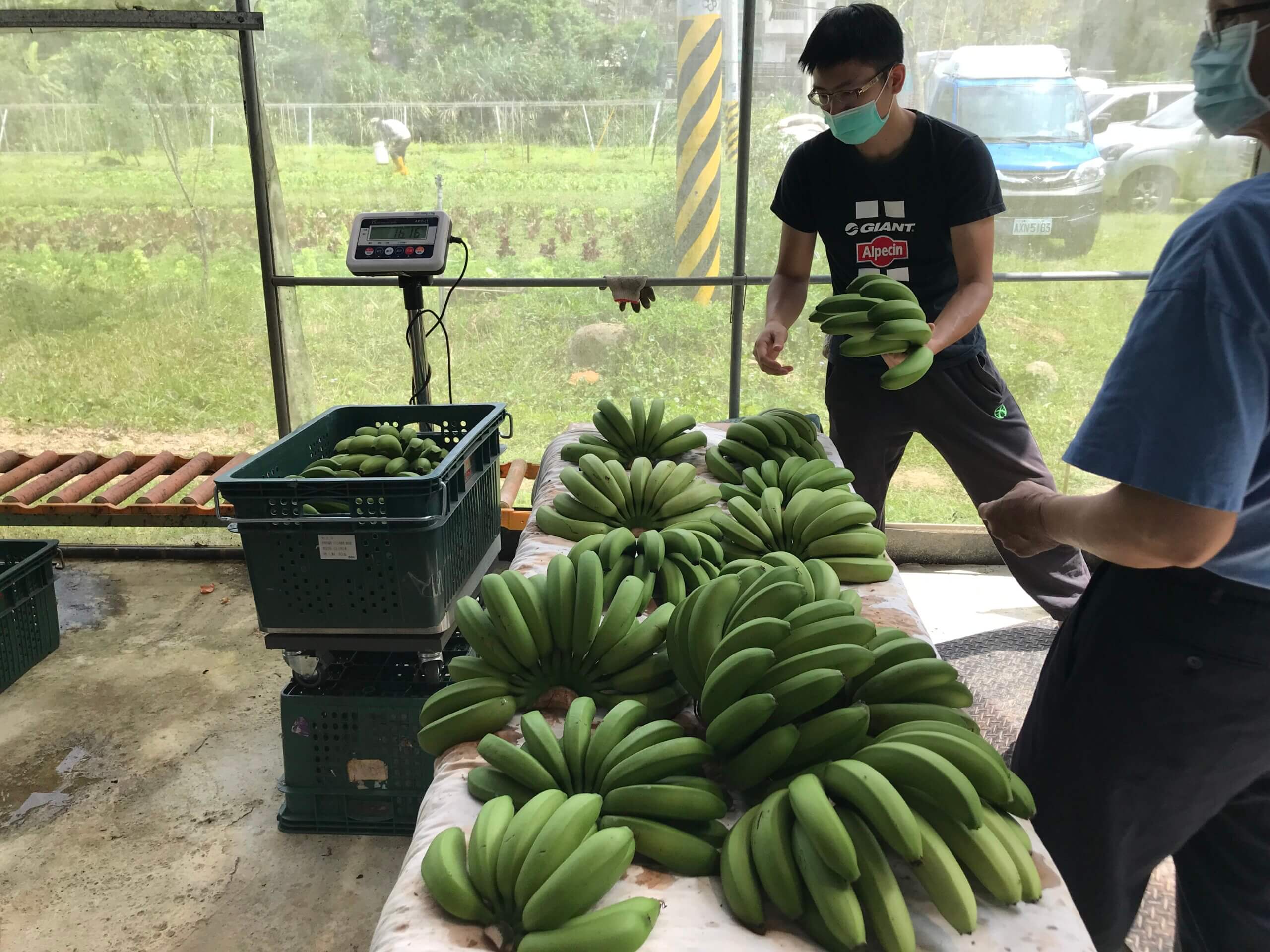 從槍桿、教鞭到鋤頭－劉晃賓開創有機農夫新人生