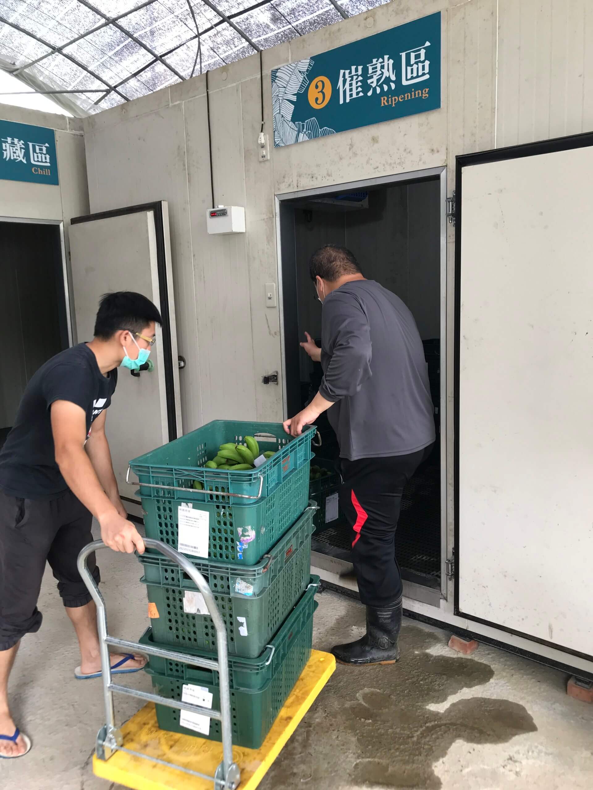 從槍桿、教鞭到鋤頭－劉晃賓開創有機農夫新人生