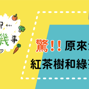 【聊聊有機事精華#5】驚！原來沒有紅茶樹和綠茶樹！