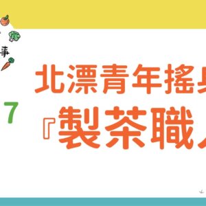 北漂青年搖身成為製茶職人