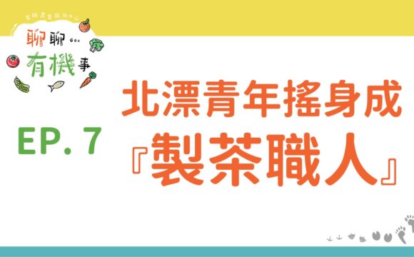 北漂青年搖身成為製茶職人
