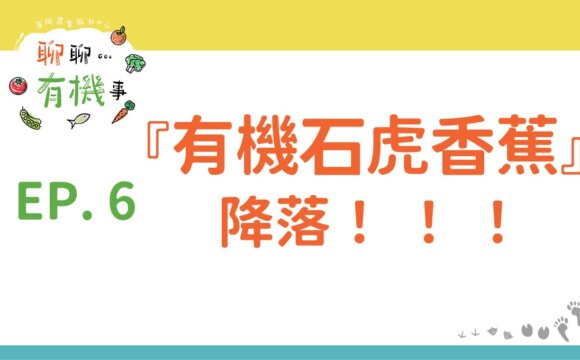 有機石虎香蕉降落！！！