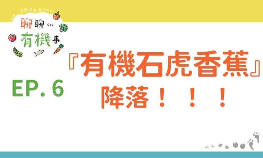 有機石虎香蕉降落！！！