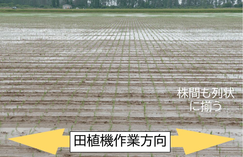 6 日本新式除草技術