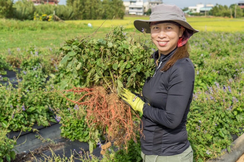 認真的女農 葉芷妘