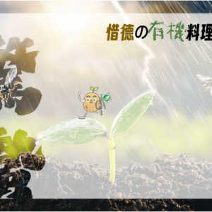 驚蟄-春雷乍響。萬物更新 驚蟄-春雷乍響。萬物更新