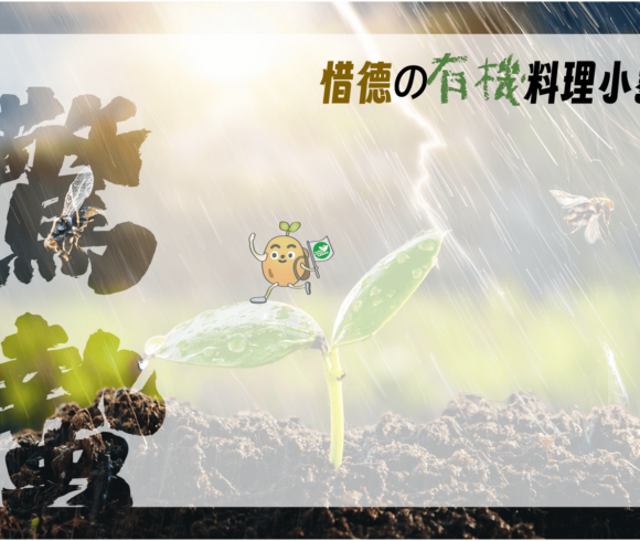 驚蟄－春雷乍響。萬物更新