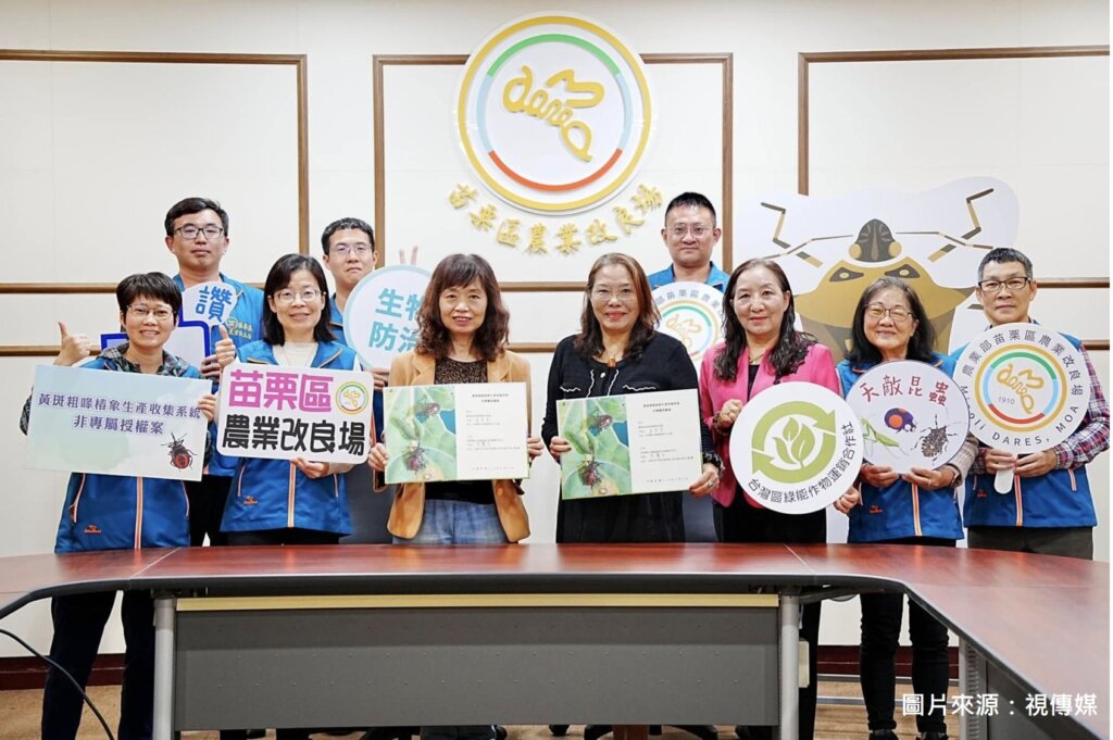 4.黃斑粗喙椿象生產收集系統1