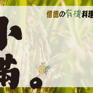 小滿-智慧與味覺的交會 小滿-智慧與味覺的交會