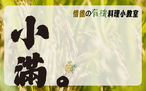 小滿－智慧與味覺的交會