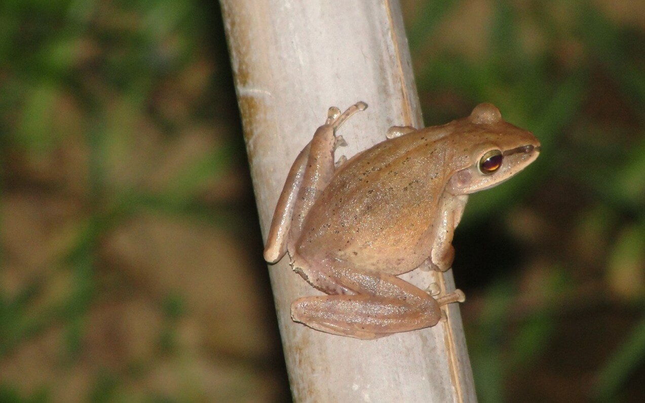 有機突破兩萬公頃了,然後呢? 3 圖1 1