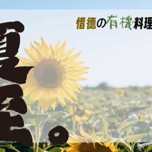 夏至養身帖-順時而食的養生之道 夏至養身帖-順時而食的養生之道