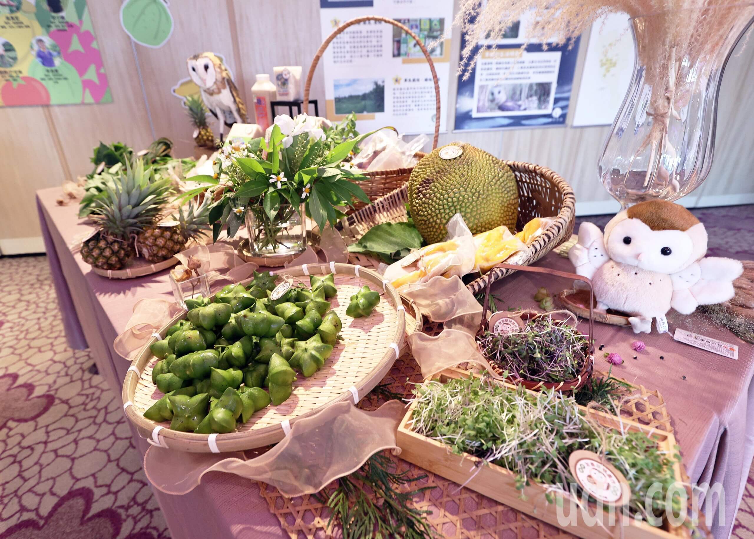 友善草鴞標章 scaled