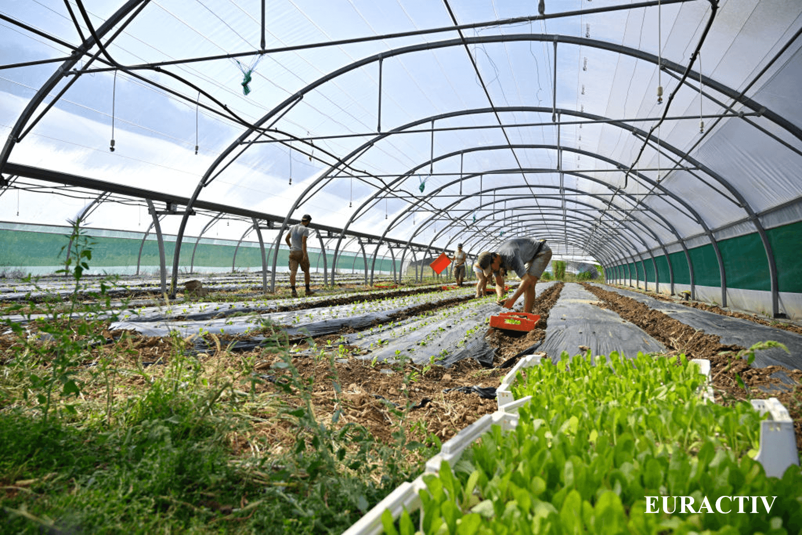 🌏中文摘要|快速看懂2025年11月份國際新訊 1 1 法國