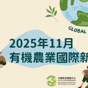 🌏中文摘要｜快速看懂2025年11月份國際新訊