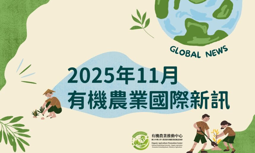 🌏中文摘要｜快速看懂2025年11月份國際新訊