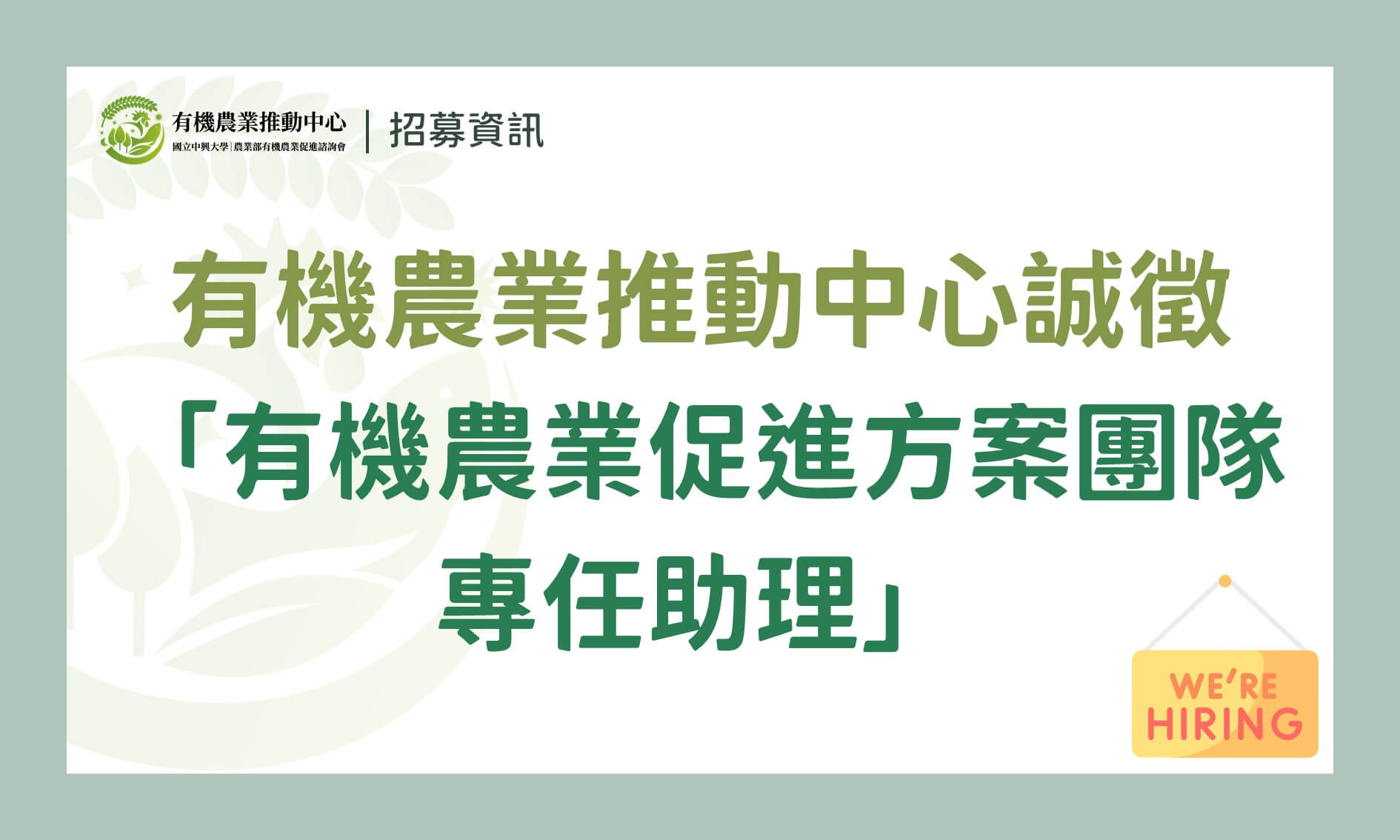 官網招募縮圖 促進方案