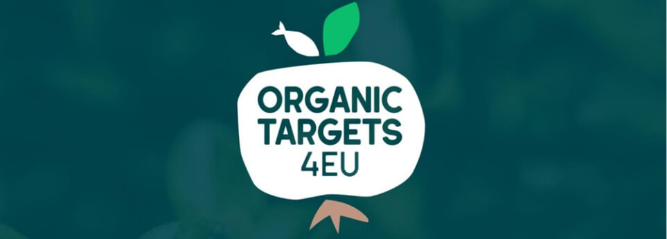 🌏中文摘要|快速看懂2025年11月份國際新訊 3 歐盟